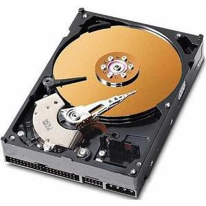 CoreParts MUXMS-00077 internal hard drive 40 GB 7200 RPM 3.5" IDE/ATA