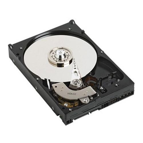 DELL HD,500G,ES3,7.2K,3.5,SGT,MOOSE