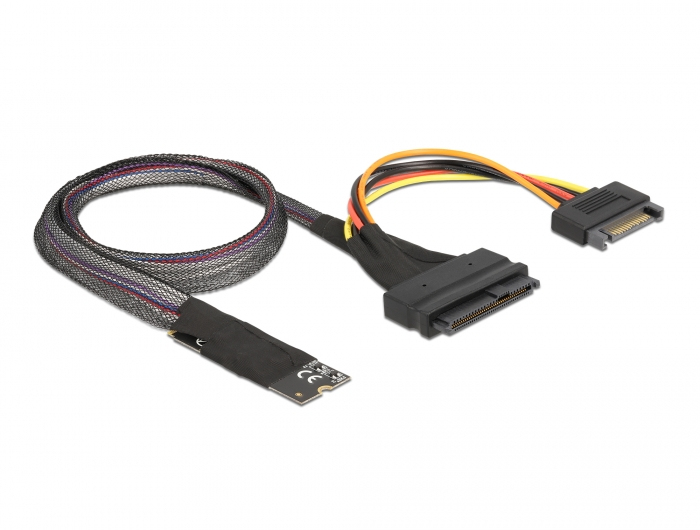 DeLOCK M.2 Key M to U.2 SFF-8639 NVMe Adapter with 50 cm cable