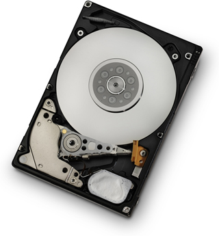 Western Digital Ultrastar C10K600 internal hard drive 300 GB 10000 RPM 64 MB 2.5" SAS